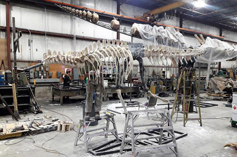 The casting process of the dinosaur now at Orton Geological Museum