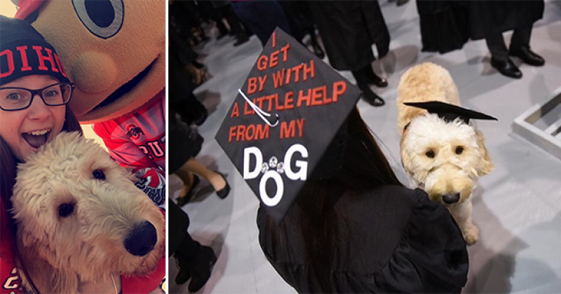 Lynn Agee with Brutus (Left) and at graduation with her foster puppy