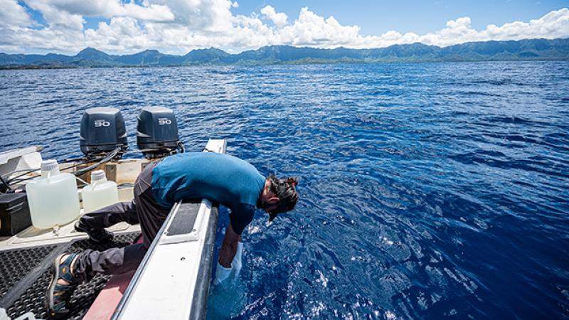 Researcher on a boat reaching into the ocean