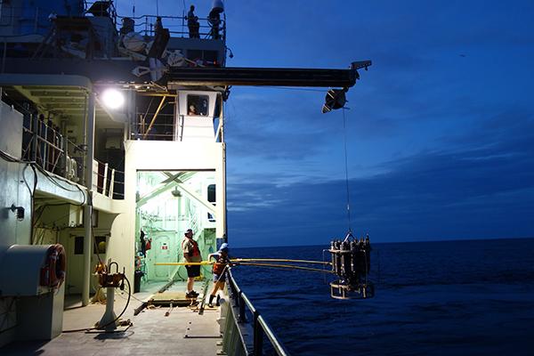 Researchers in the ocean