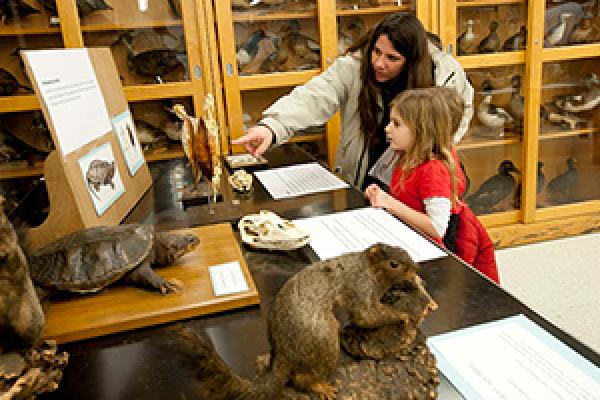 Museum of Biological Diversity